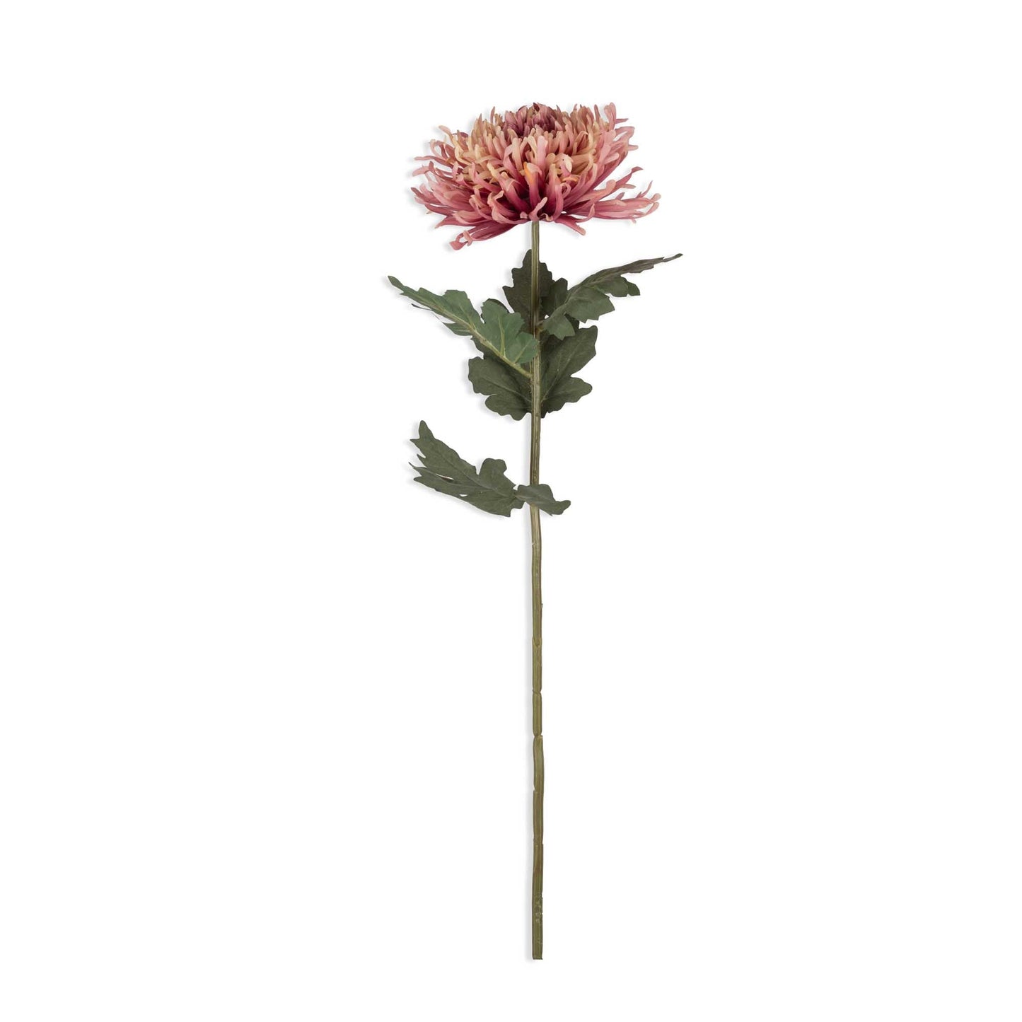 ARTIFICIAL CHRYSANTHEMUM, SUNSET