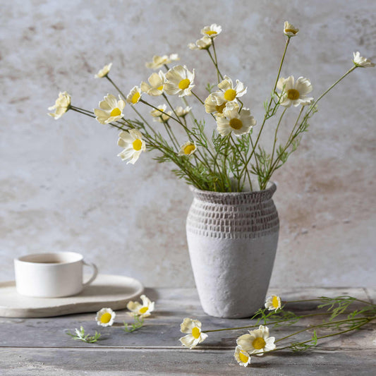 ARTIFICIAL COSMOS MEADOW, BUTTERMILK - *Pre-order* - Shipping December 2025