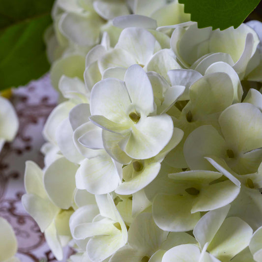 ARTIFICIAL REAL TOUCH HYDRANGEA, ZEST - *Pre-Order* - Shipping January 2026