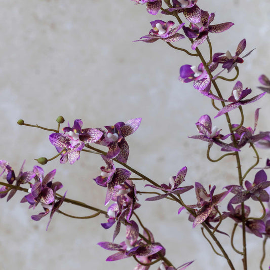 ARTIFICIAL ONSIDIUM ORCHID - *Pre-Order* - Shipping January 2026