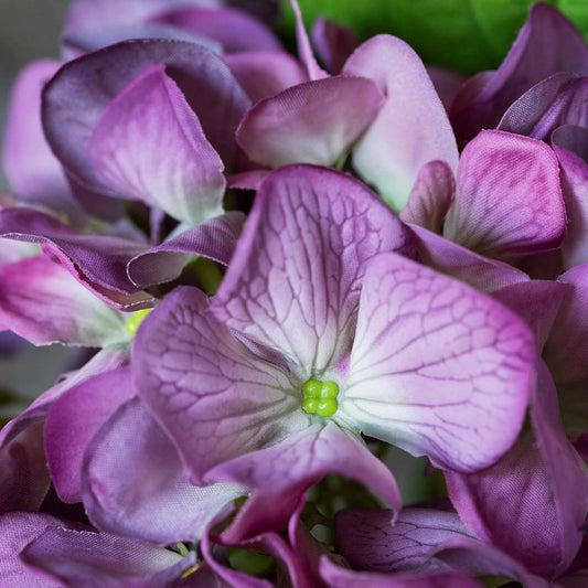 ARTIFICIAL REAL TOUCH HYDRANGEA, PLUM - *Pre-order* SHIPPING June 2026