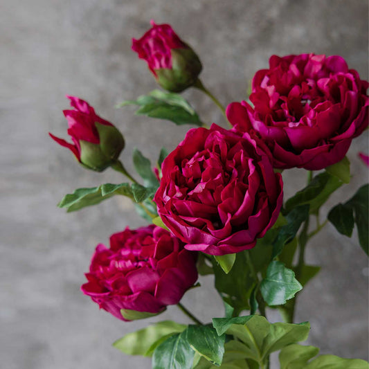 ARTIFICIAL REAL TOUCH PEONY, RUBY - *Pre-order* SHIPPING June 2026