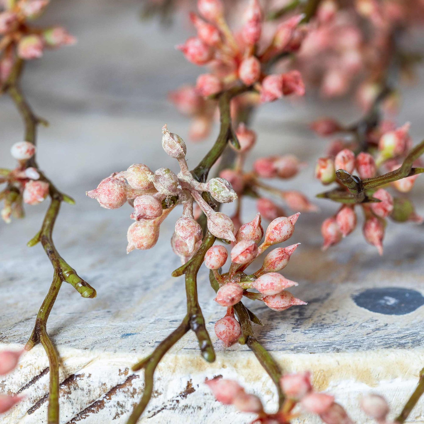 ARTIFICIAL SUCCULENT BRANCH, CORAL - *Pre-order* - Shipping December 2025