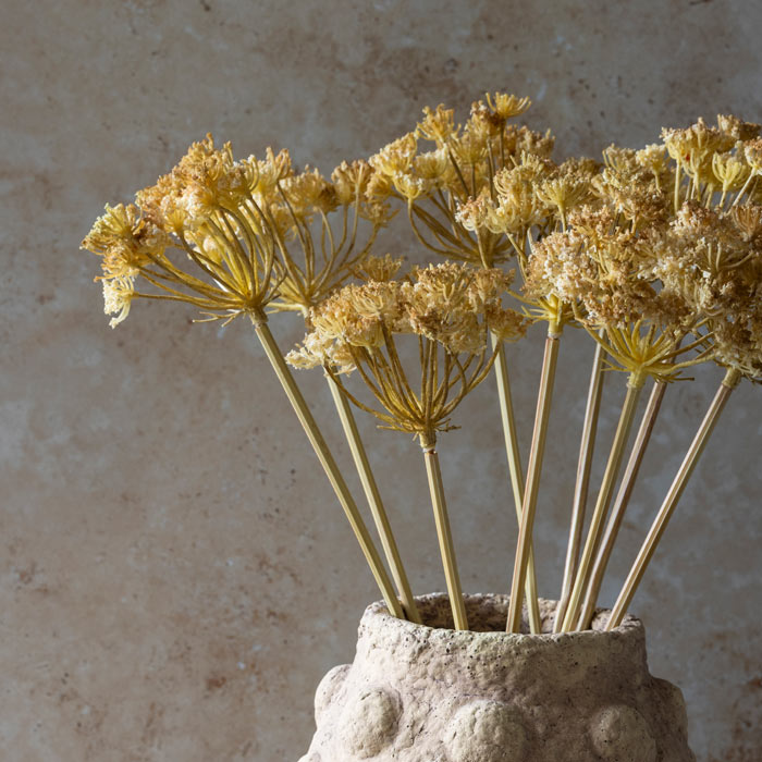 YARROW BUNCH