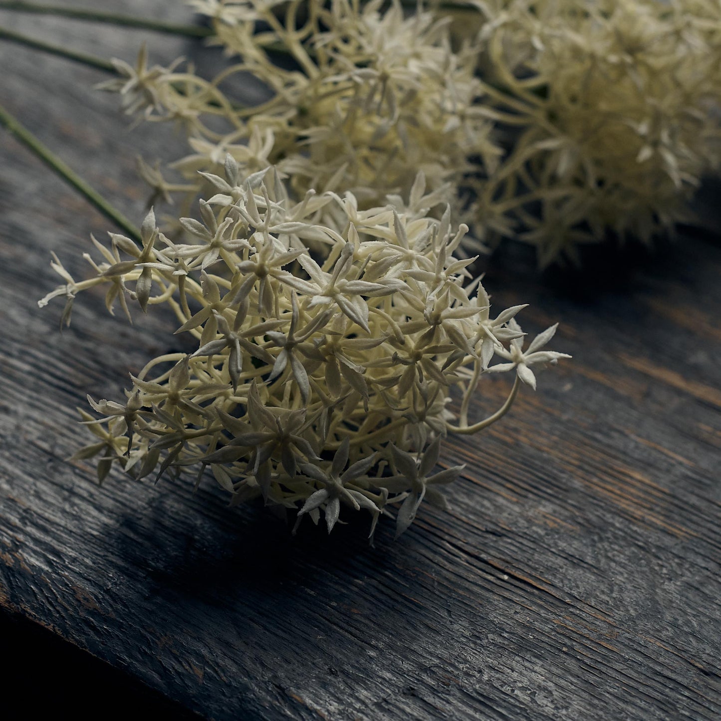 ARTIFICIAL ALLIUM CREAM BUNCH - In Stock