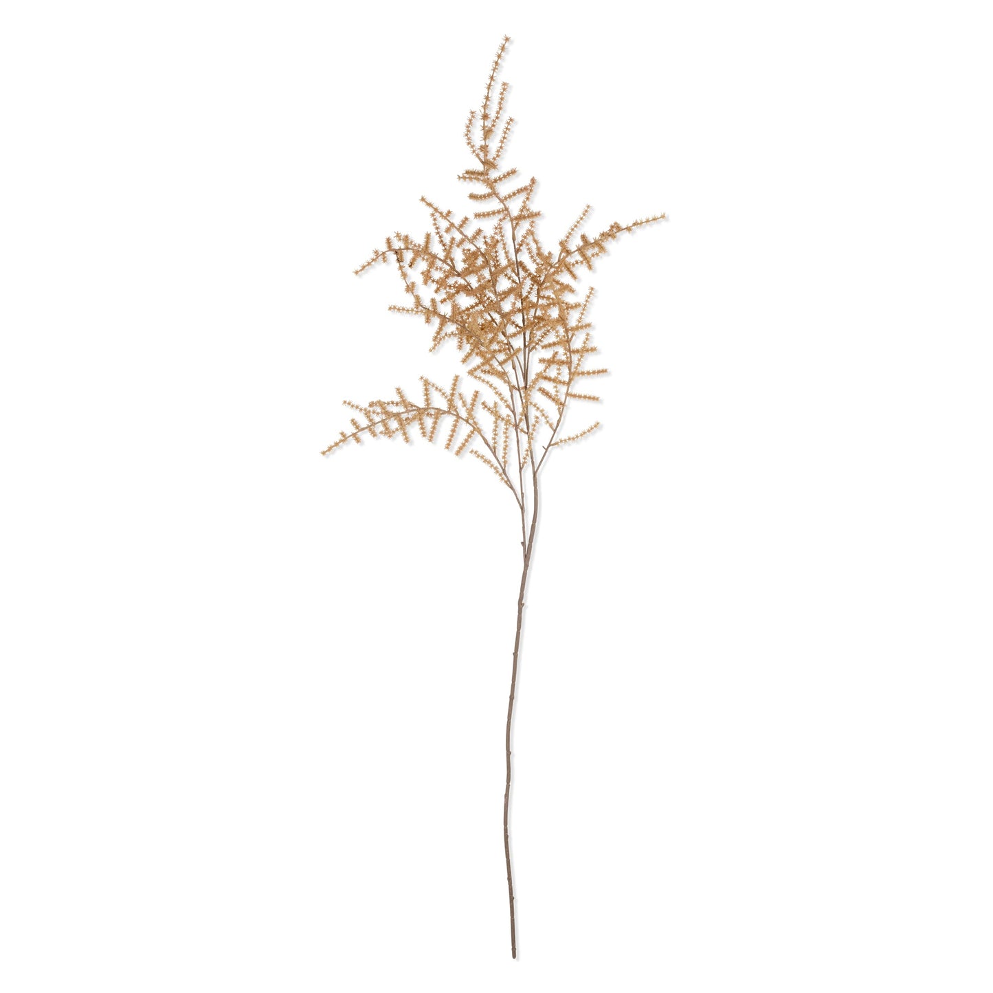 ARTIFICIAL ASPARAGUS FERN DESERT