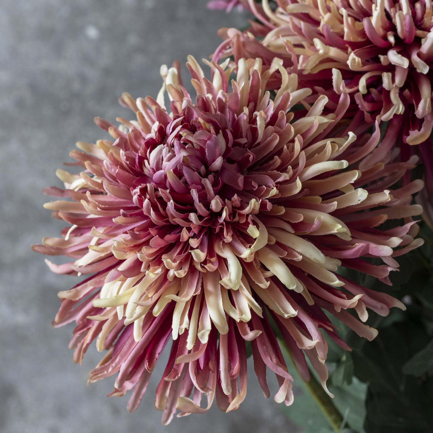 ARTIFICIAL CHRYSANTHEMUM, SUNSET