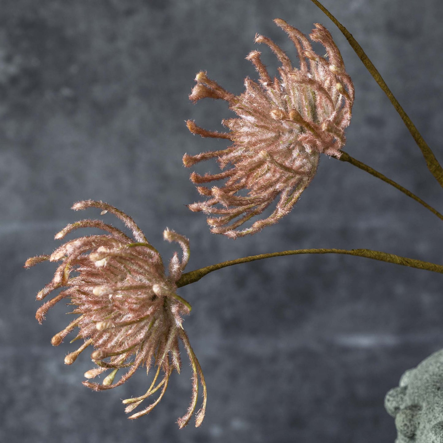 ARTIFICIAL LEUCOSPERMUM, BLUSH