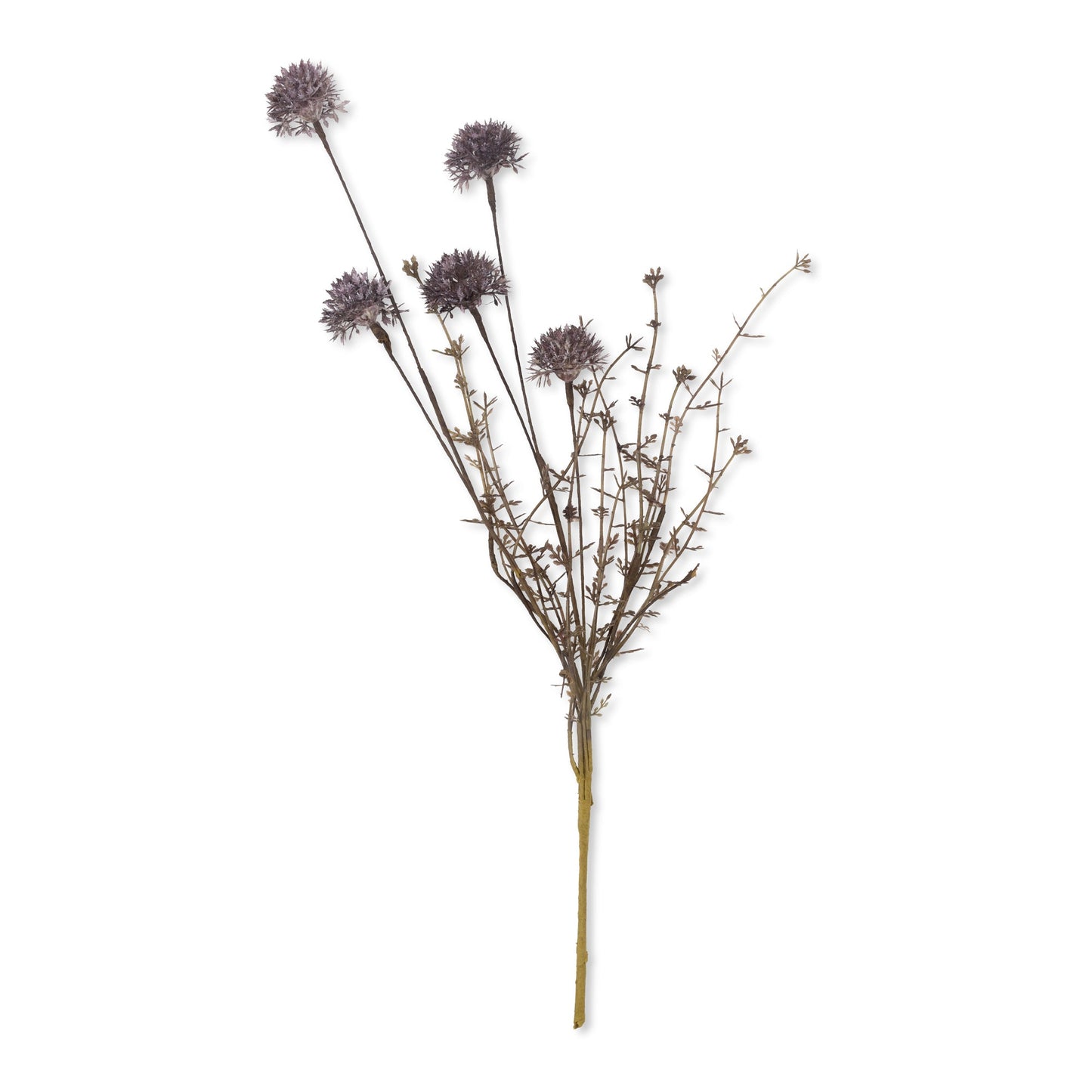 MELALEUCA PURPLE