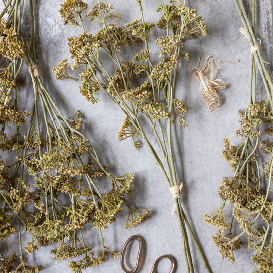 MEADOW SEDGE - NATURAL