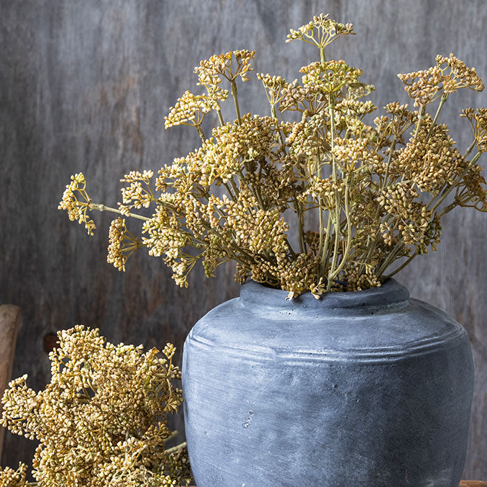 MEADOW SEDGE - NATURAL