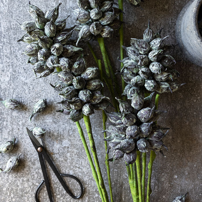ARTIFICIAL HEIRLOOM THISTLE