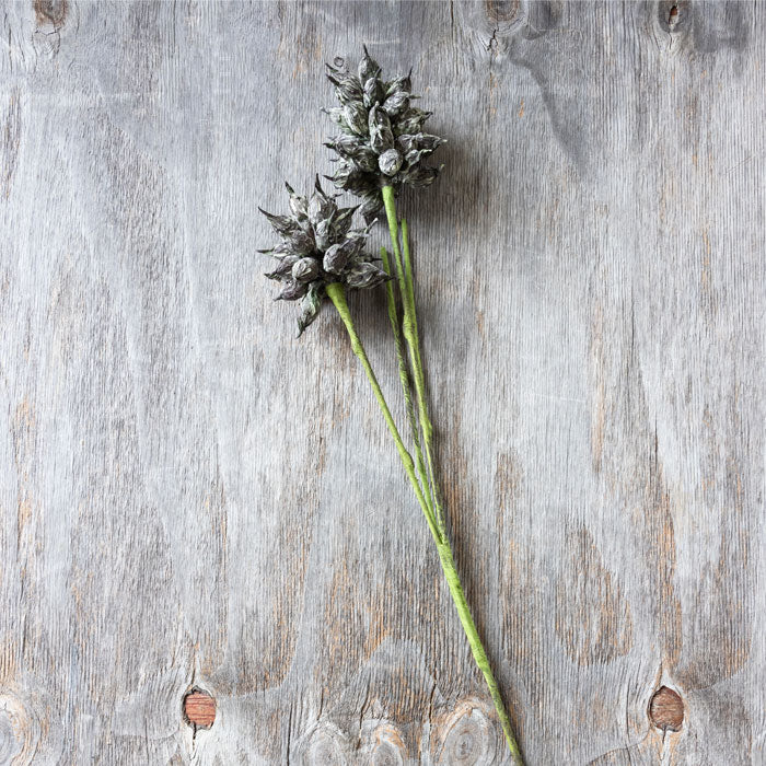 ARTIFICIAL HEIRLOOM THISTLE