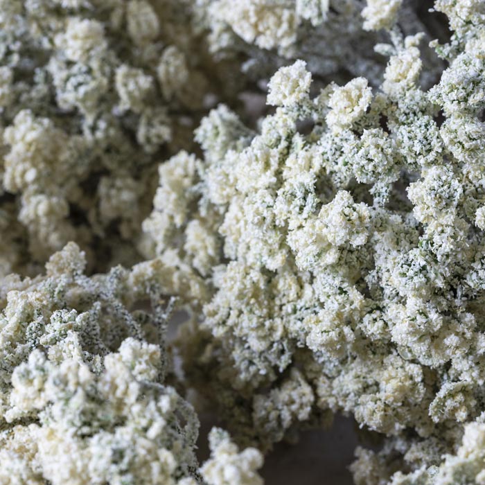 ARTIFICIAL YARROW STEM, CREAM