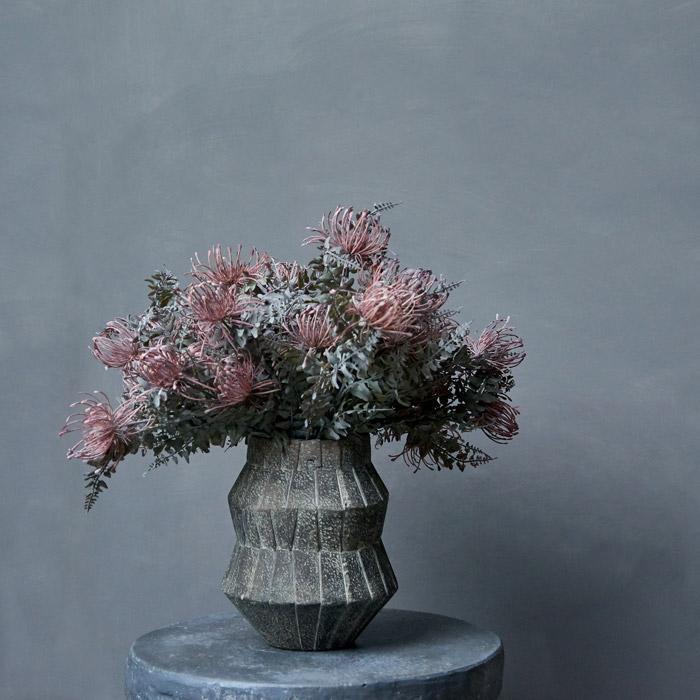 LEUCOSPERMUM BUSH