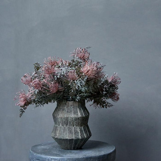 LEUCOSPERMUM BUSH