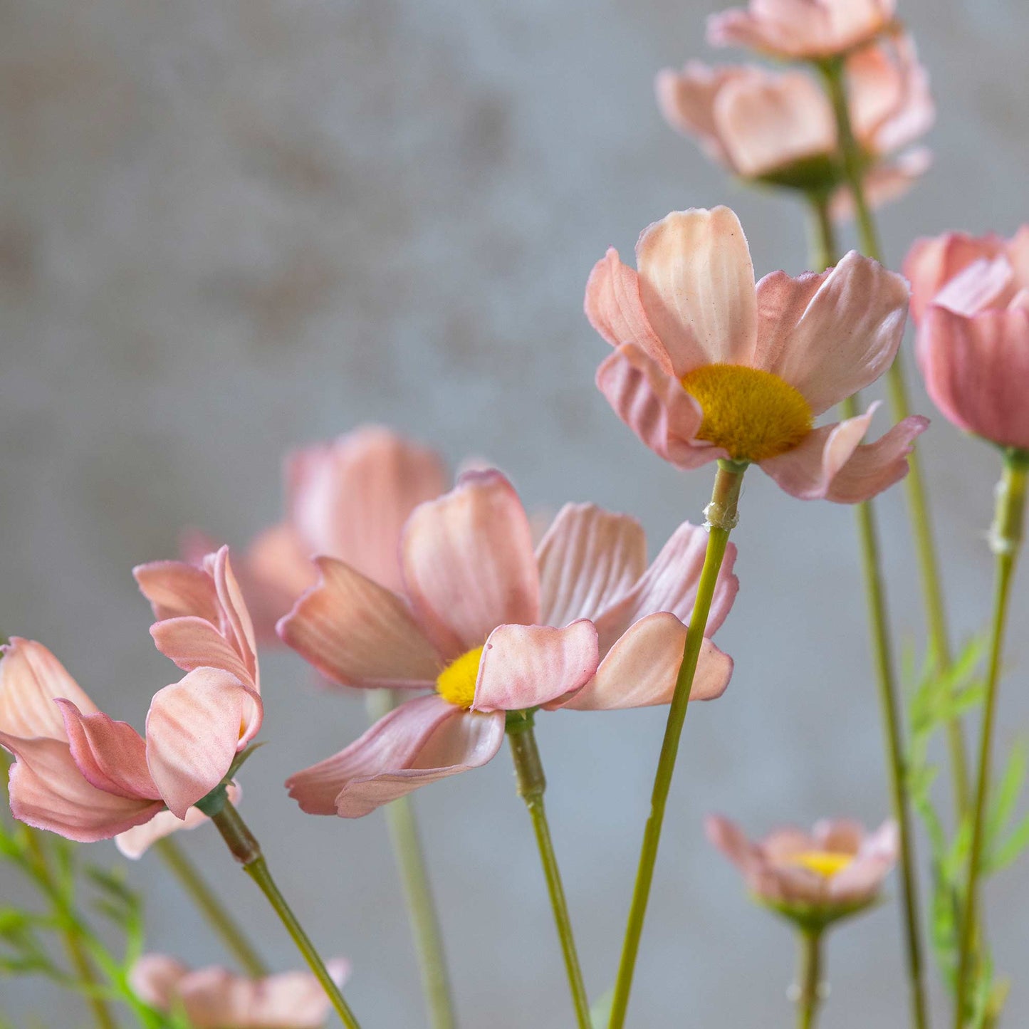 ARTIFICIAL COSMOS MEADOW, SOFT PINK -  *Pre-order* - Shipping December 2025