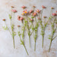ARTIFICIAL COSMOS MEADOW, SOFT PINK -  *Pre-order* - Shipping December 2025