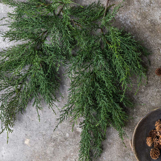 ARTIFICIAL CYPRESS BRANCH - *Pre-order* SHIPPING July 2026