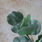 ARTIFICIAL EUCALYPTUS SILVER DOLLAR - *Pre-Order* - Shipping January 2026