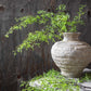 ARTIFICIAL FERN BRANCH, SOFT GREEN - *Pre-Order* - Shipping January 2026