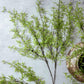 ARTIFICIAL FERN BRANCH, SOFT GREEN - *Pre-Order* - Shipping January 2026