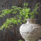 ARTIFICIAL FERN BRANCH, SOFT GREEN - *Pre-Order* - Shipping January 2026