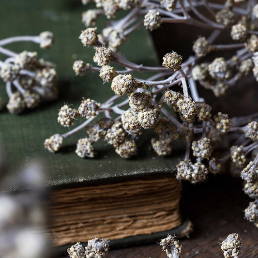 ARTIFICIAL GYPSOPHILA SPRAY - *Pre-order* SHIPPING July 2026
