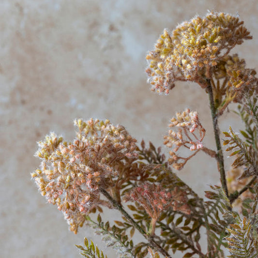ARTIFICIAL HEMLOCK