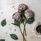 ARTIFICIAL REAL TOUCH HYDRANGEA, ANTIQUE BLUSH - *Pre-Order* - Shipping January 2026