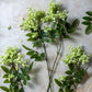 ARTIFICIAL LILAC STEM, PISTACHIO - *Pre-Order* - Shipping January 2026