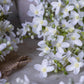ARTIFICIAL LILAC STEM, WHITE - *Pre-Order* - Shipping January 2026