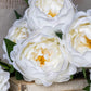 ARTIFICIAL REAL TOUCH PEONY, WHITE - *Pre-Order* - Shipping January 2026