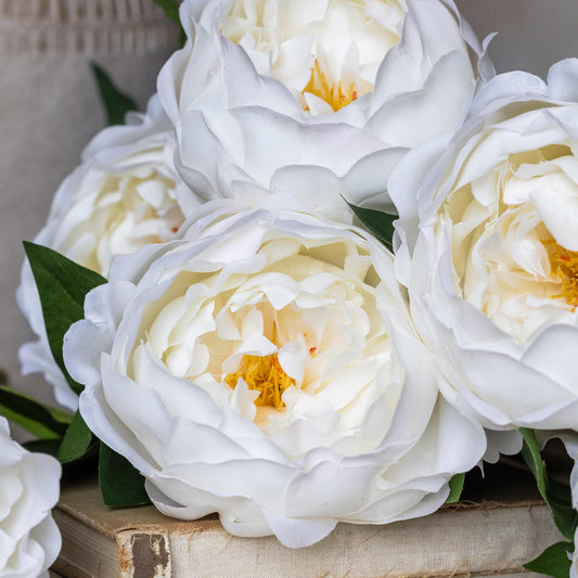 ARTIFICIAL REAL TOUCH PEONY, WHITE - *Pre-Order* - Shipping January 2026