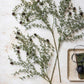 ARTIFICIAL PINE BRANCH FOREST - *Pre-order* SHIPPING June 2026
