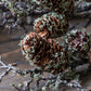 ARTIFICIAL PINECONE BRANCH, MEDIUM - *Pre-order* SHIPPING MAY 2026