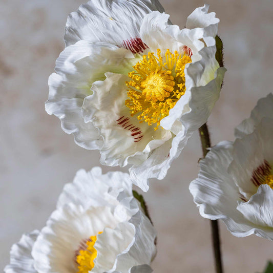 ARTIFICIAL POPPY, WHITE - *Pre-Order* - Shipping January 2026
