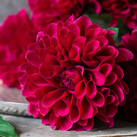 ARTIFICIAL REAL TOUCH DAHLIA, RUBY - *Pre-order* SHIPPING June 2026