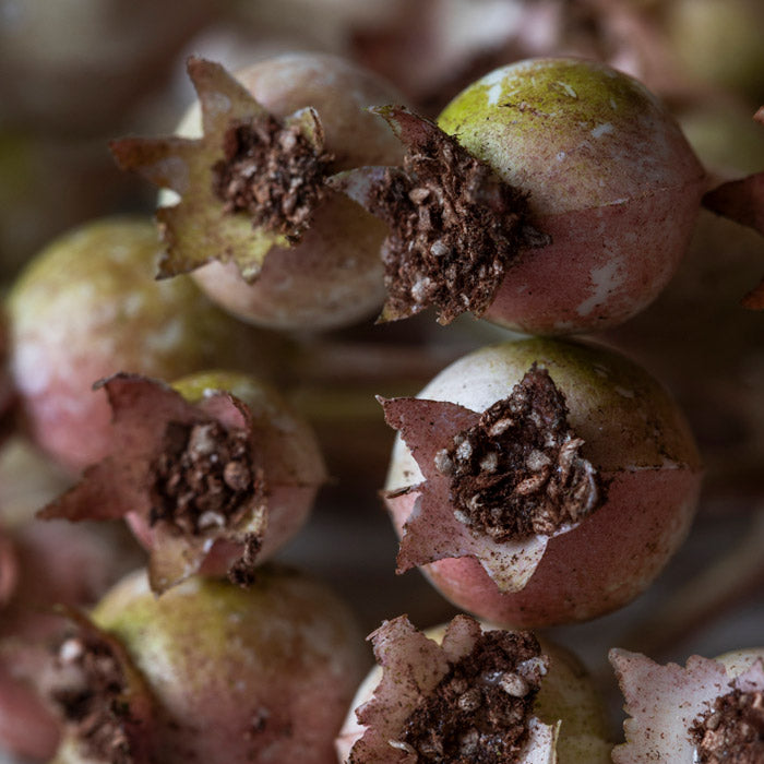 ARTIFICIAL ROSE HIP BUNCH BLUSH