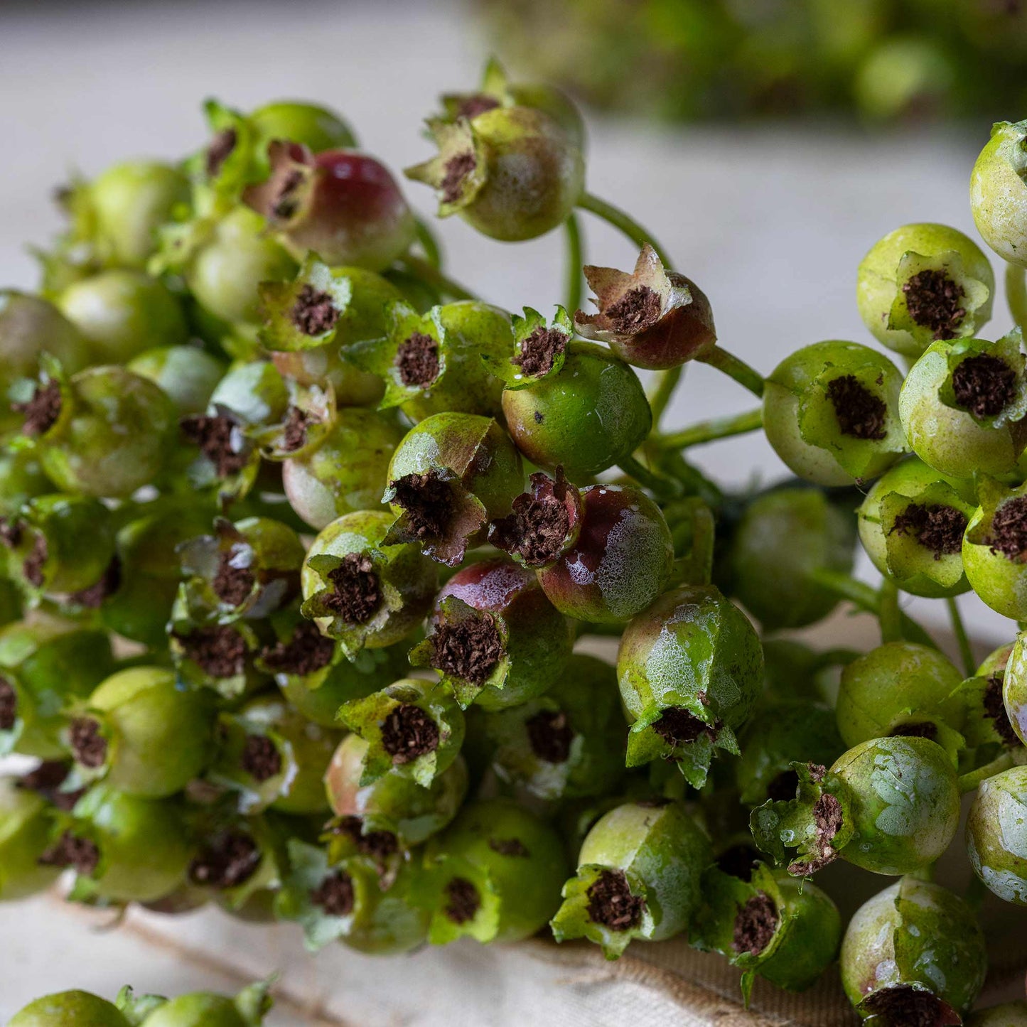ARTIFICIAL ROSEHIP BUNCH, OLIVE - *Pre-order* - Shipping December 2025