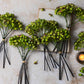 ARTIFICIAL ROSEHIP BUNCH, OLIVE - *Pre-order* - Shipping December 2025