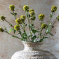 ARTIFICIAL SCABIOSA - *Pre-Order* - Shipping January 2026