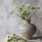 ARTIFICIAL SCABIOUS FLOWER, CREAM - *Pre-Order* - Shipping January 2026