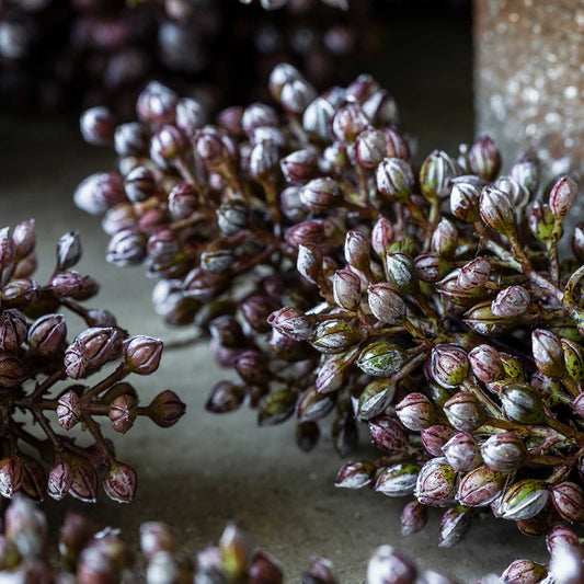 ARTIFICIAL SORGHUM, SUNRISE - *Pre-order* SHIPPING June 2026