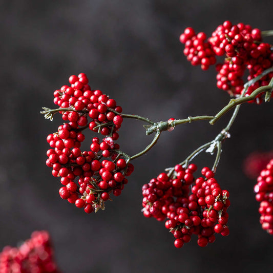 ARTIFICIAL WILD WINTER BERRY, RUBY - *Pre-order* SHIPPING MAY 2026