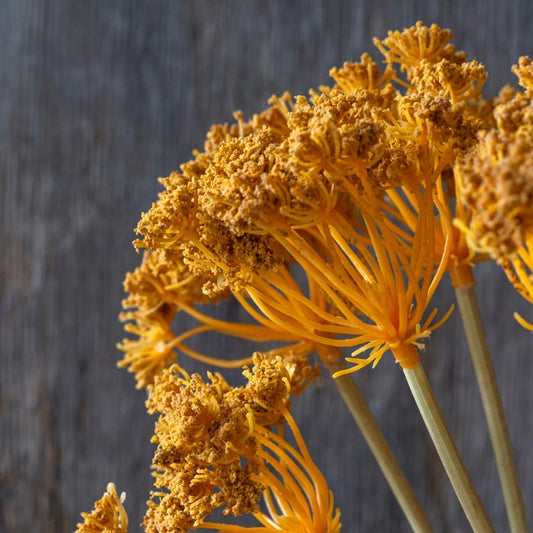 ARTIFICIAL YARROW BUNCH SAND