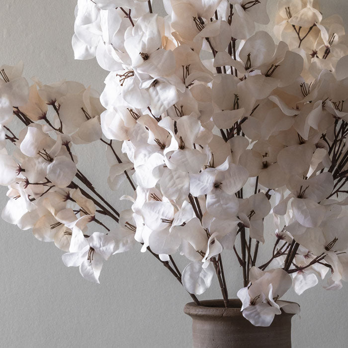 BOUGAINVILLEA BLUSH