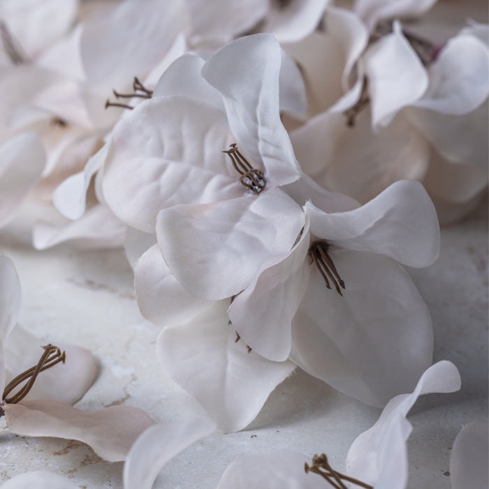BOUGAINVILLEA BLUSH