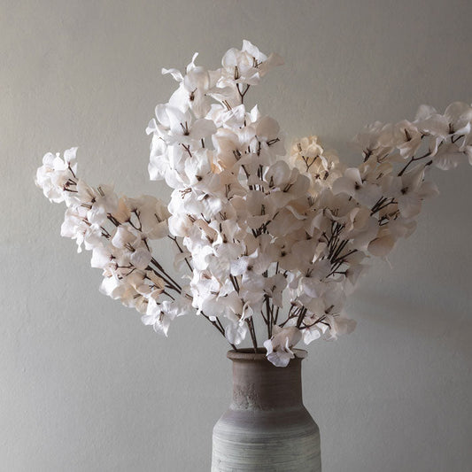 BOUGAINVILLEA BLUSH