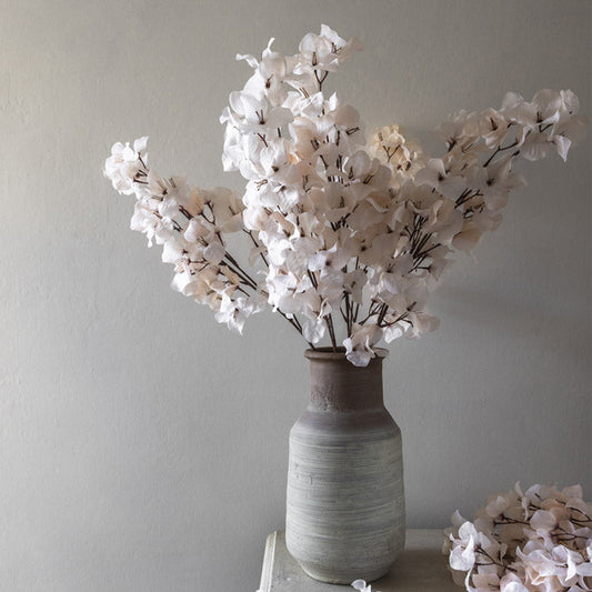 BOUGAINVILLEA BLUSH